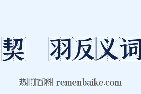 契苾羽反义词是什么意思的图片